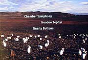 John Adams - Chamber Symphony (John Adams Earbox CD cover (Nonesuch)